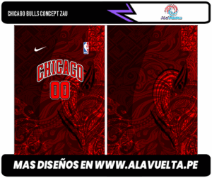 CHICAGO BULLS CONCEPT ZAU